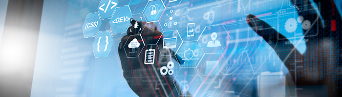 Software de IP Reverso